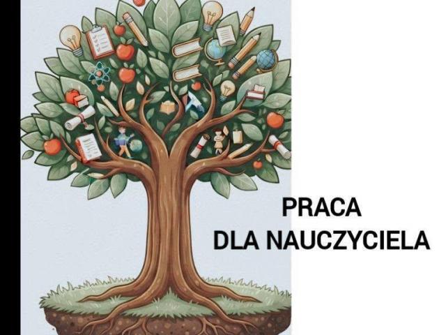 NAUCZYCIEL WYCHOWANIA PRZEDSZKOLNEGO I WCZESNOSZKOLNEGO, PEDAGOG SPECJALNY