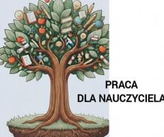 NAUCZYCIEL WYCHOWANIA PRZEDSZKOLNEGO I WCZESNOSZKOLNEGO, PEDAGOG SPECJALNY